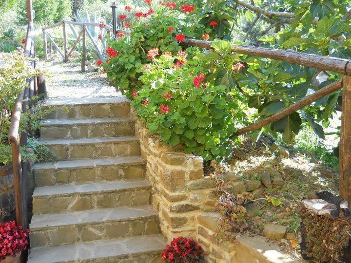 Bed and Breakfast Casale San Martino Laureana Cilento Exterior foto