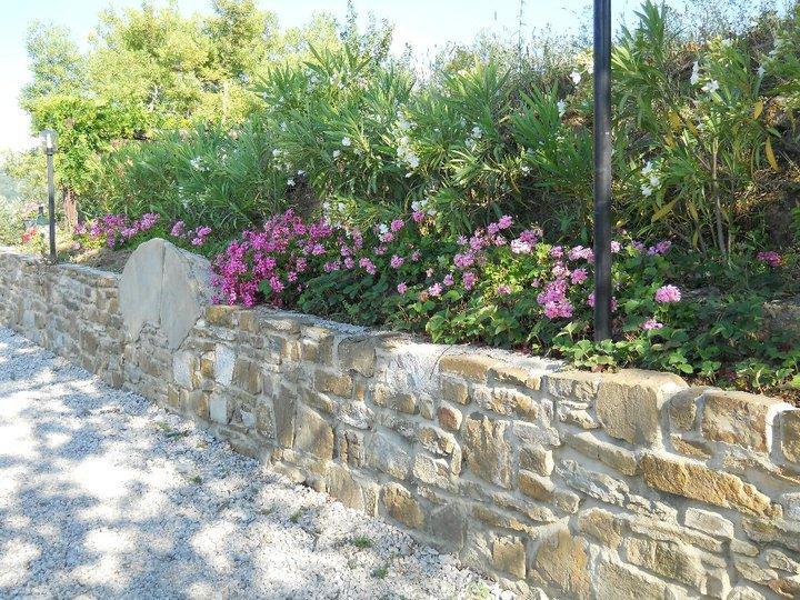 Bed and Breakfast Casale San Martino Laureana Cilento Exterior foto