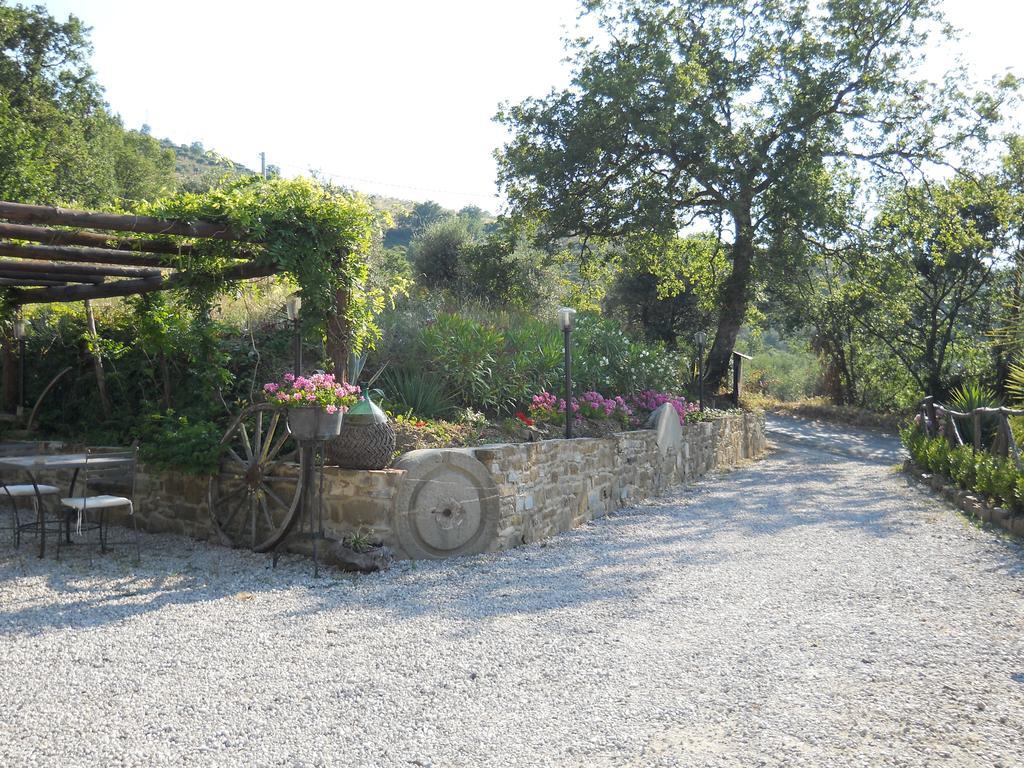 Bed and Breakfast Casale San Martino Laureana Cilento Exterior foto