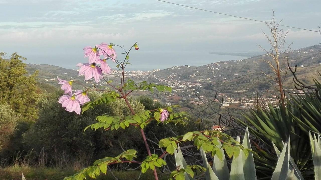Bed and Breakfast Casale San Martino Laureana Cilento Exterior foto