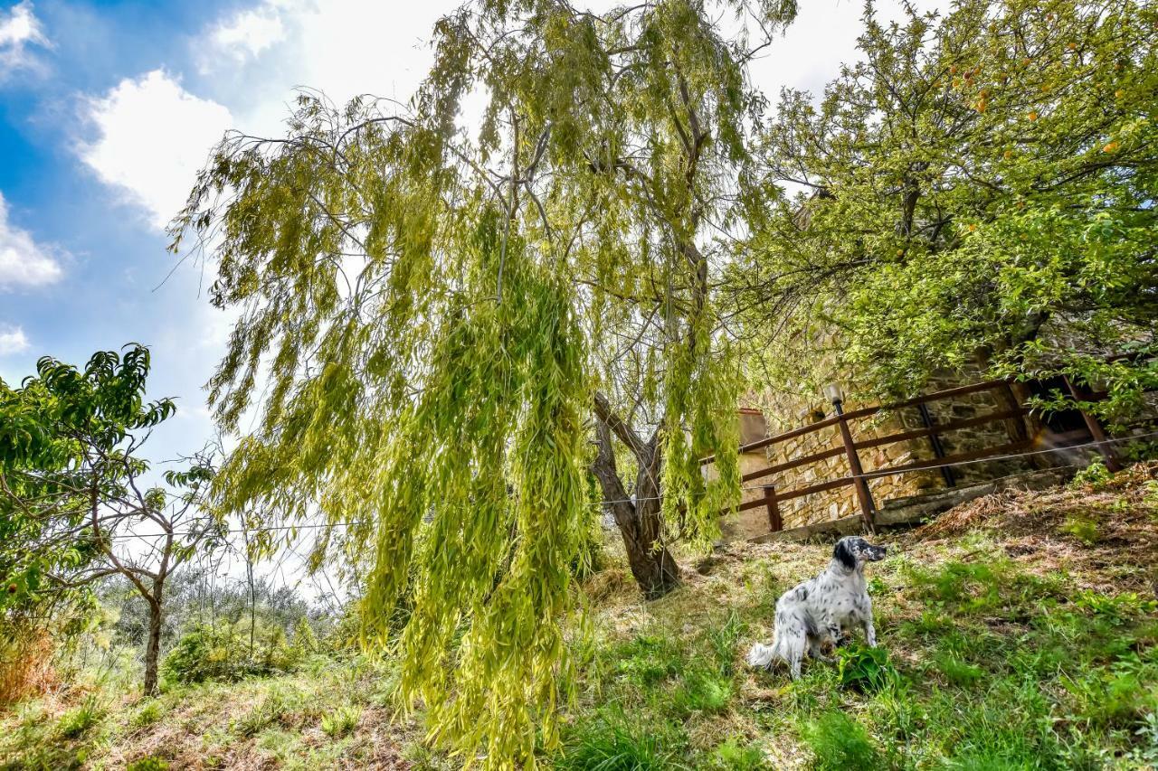 Bed and Breakfast Casale San Martino Laureana Cilento Exterior foto
