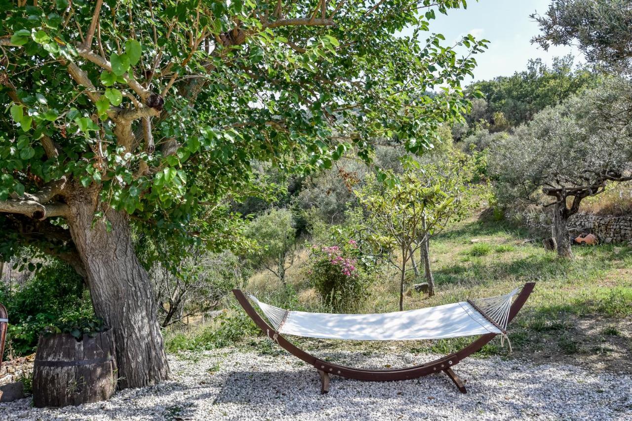 Bed and Breakfast Casale San Martino Laureana Cilento Exterior foto